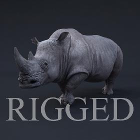 Rhino RIGGED